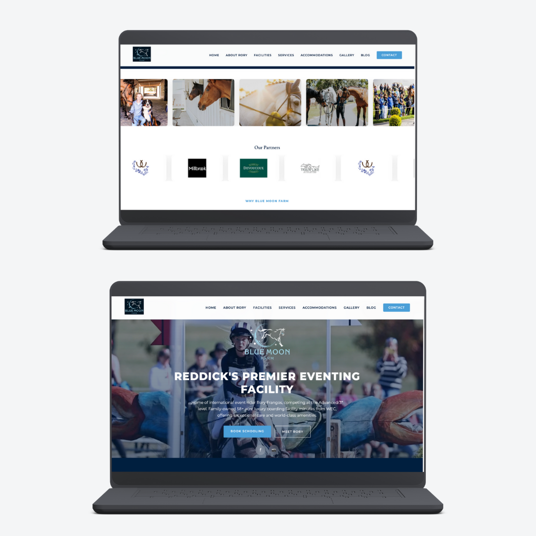 Web Development